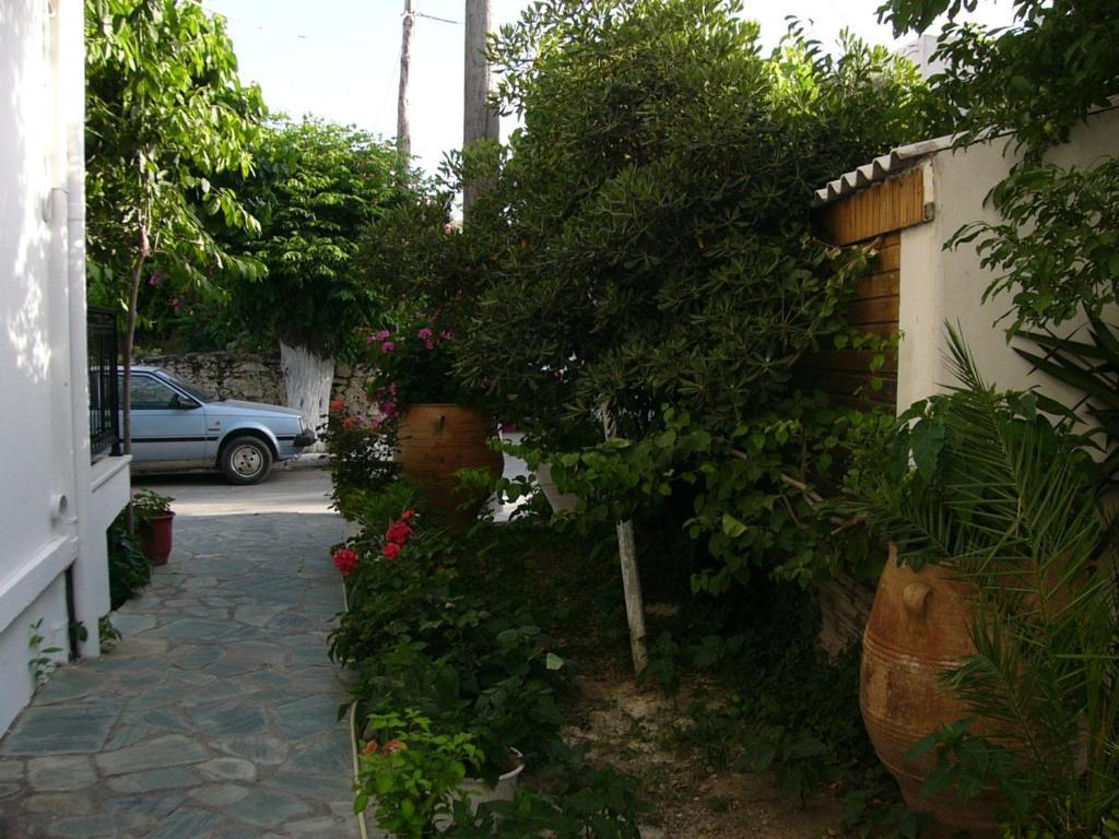 Oasis Apartment *