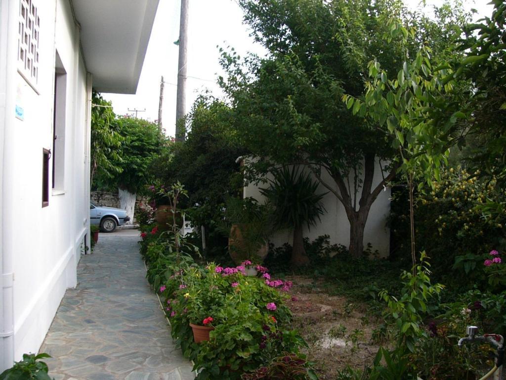 Oasis Paleochora