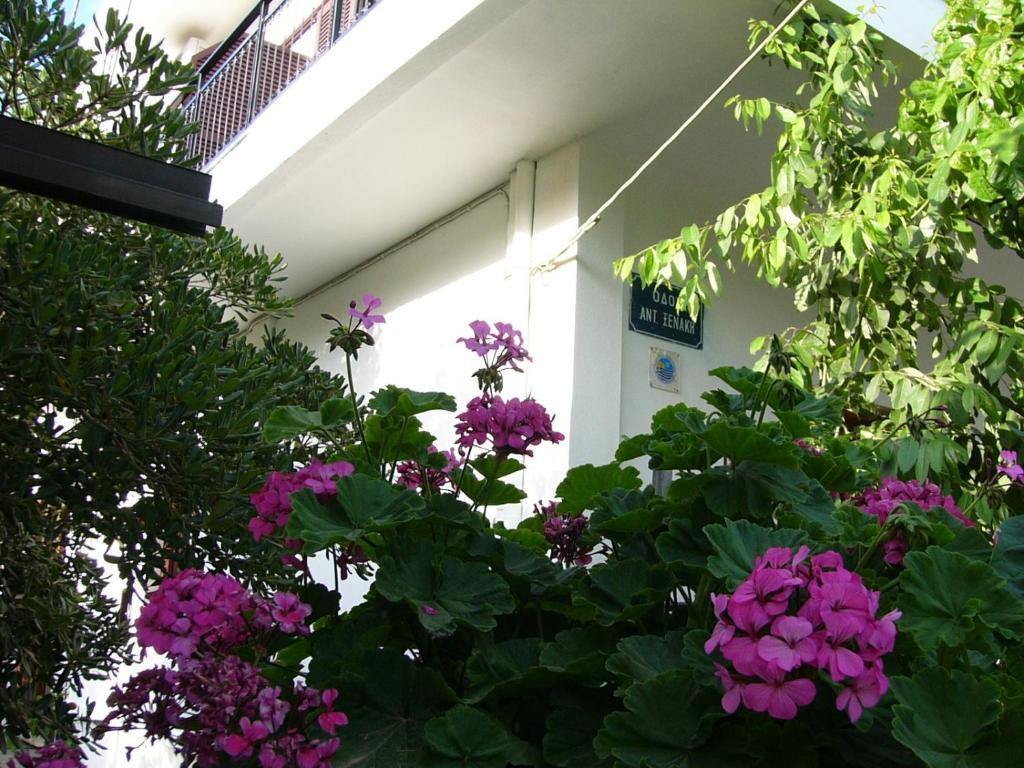 Apartment Oasis
